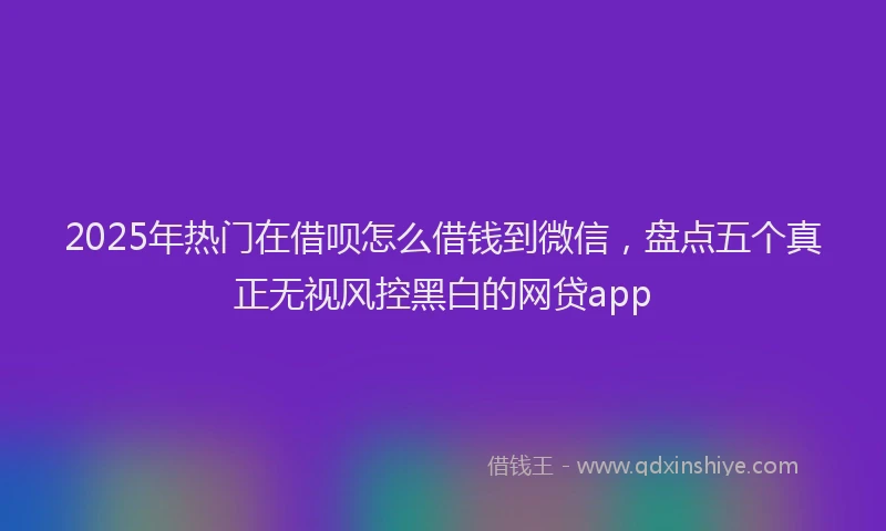 2025年热门在借呗怎么借钱到微信，盘点五个真正无视风控黑白的网贷app