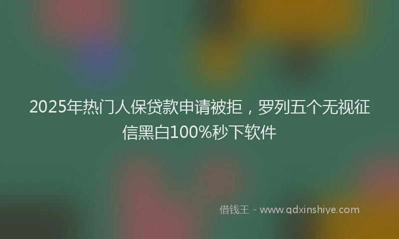 2025年热门人保贷款申请被拒，罗列五个无视征信黑白100%秒下软件