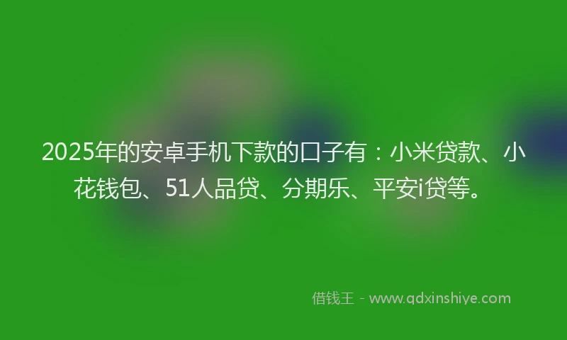 2025年的安卓手机下款的口子有：小米贷款、小花钱包、51人品贷、分期乐、平安i贷等。