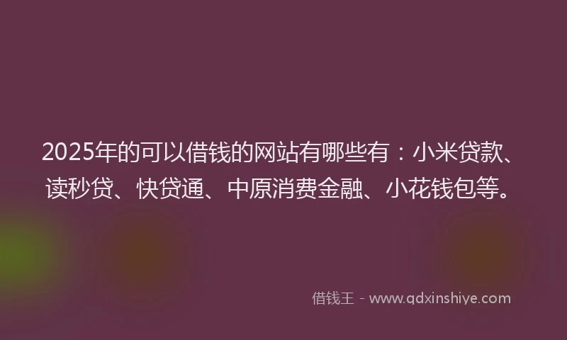 2025年的可以借钱的网站有哪些有：小米贷款、读秒贷、快贷通、中原消费金融、小花钱包等。