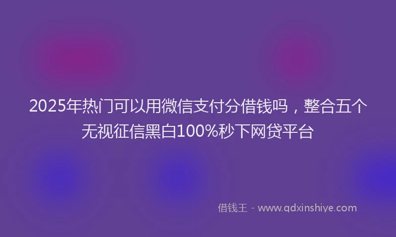 2025年热门可以用微信支付分借钱吗，整合五个无视征信黑白100%秒下网贷平台