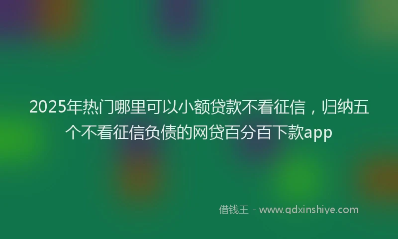 2025年热门哪里可以小额贷款不看征信，归纳五个不看征信负债的网贷百分百下款app