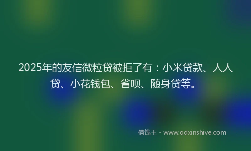 2025年的友信微粒贷被拒了有：小米贷款、人人贷、小花钱包、省呗、随身贷等。