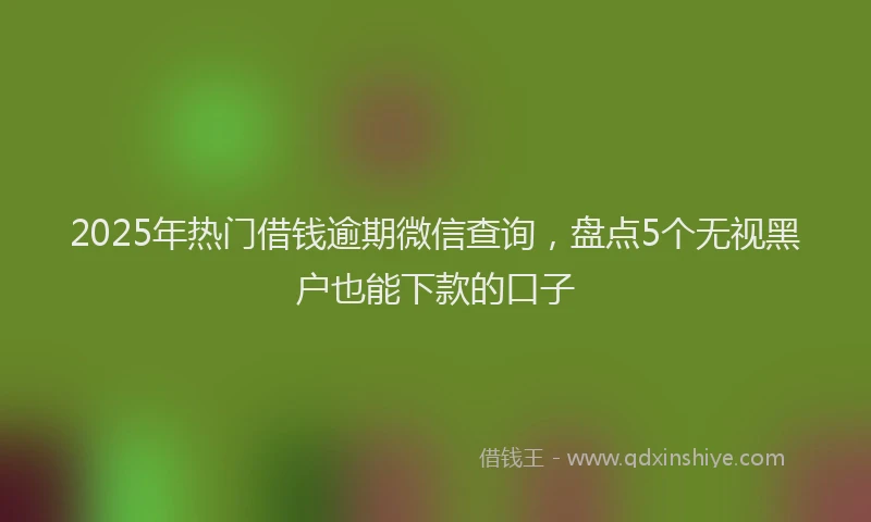 2025年热门借钱逾期微信查询，盘点5个无视黑户也能下款的口子