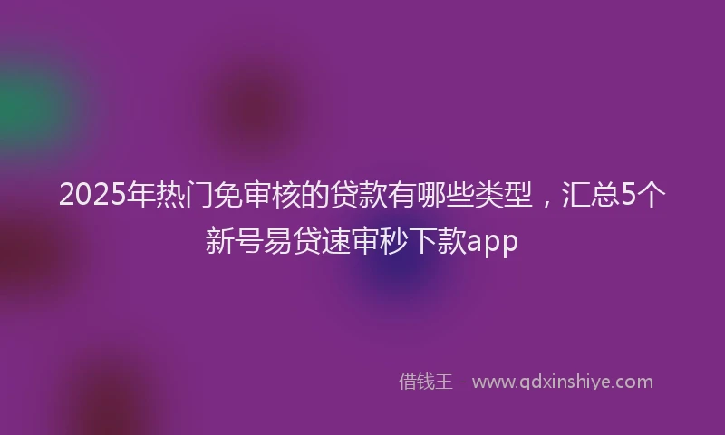2025年热门免审核的贷款有哪些类型，汇总5个新号易贷速审秒下款app