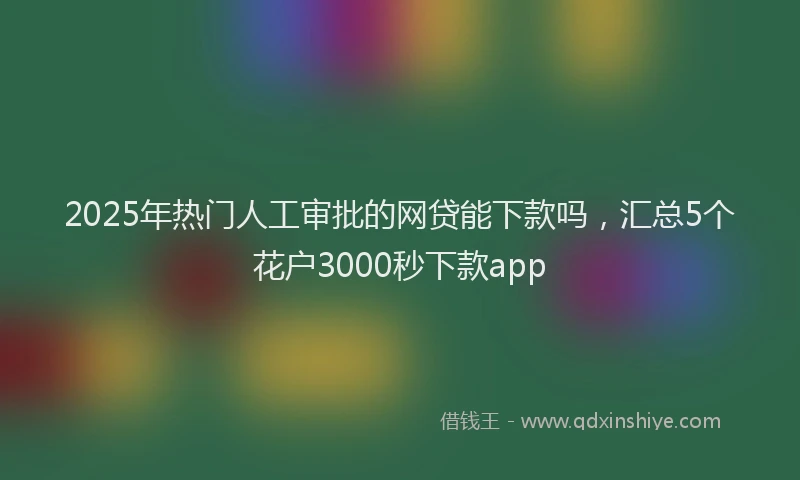2025年热门人工审批的网贷能下款吗，汇总5个花户3000秒下款app
