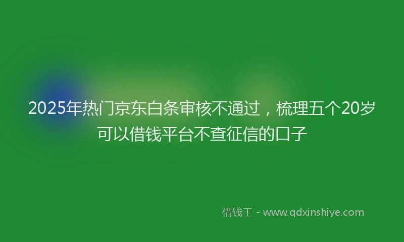 2025年热门京东白条审核不通过，梳理五个20岁可以借钱平台不查征信的口子