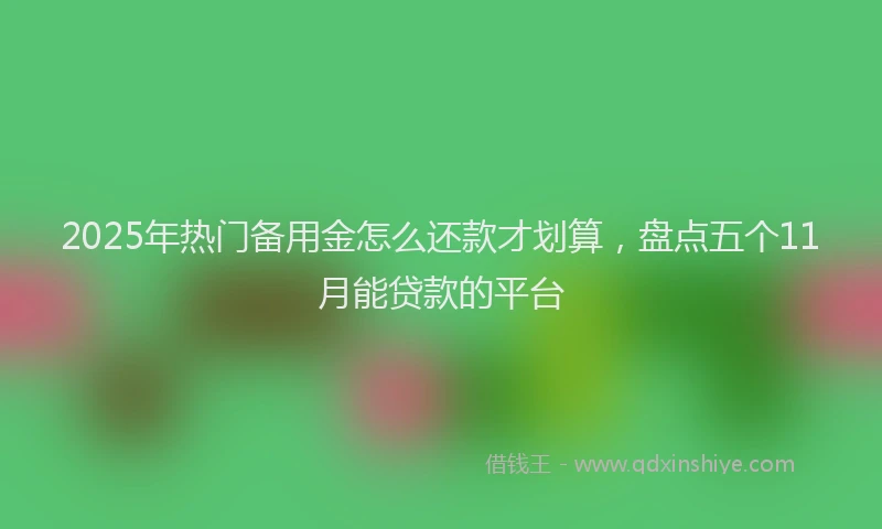 2025年热门备用金怎么还款才划算，盘点五个11月能贷款的平台
