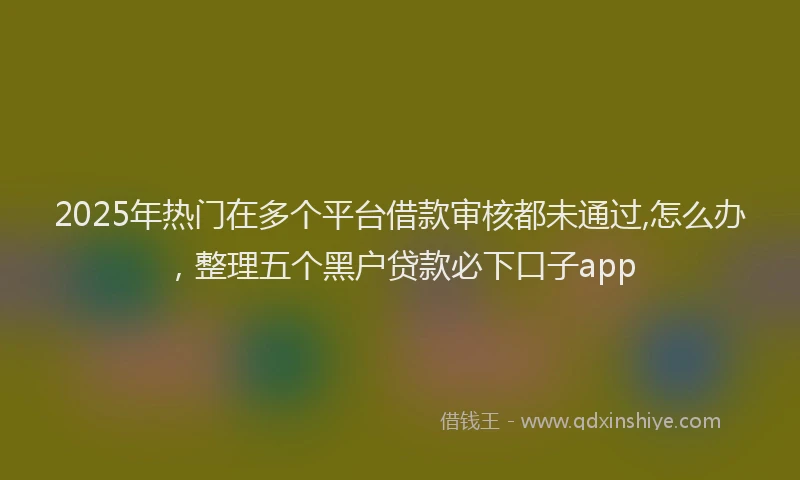 2025年热门在多个平台借款审核都未通过,怎么办，整理五个黑户贷款必下口子app