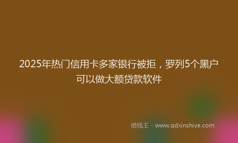 2025年热门信用卡多家银行被拒，罗列5个黑户可以做大额贷款软件