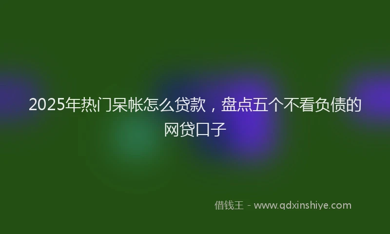 2025年热门呆帐怎么贷款，盘点五个不看负债的网贷口子