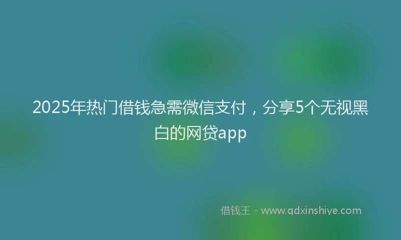 2025年热门借钱急需微信支付，分享5个无视黑白的网贷app