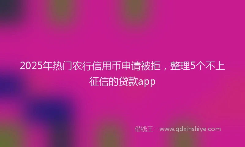 2025年热门农行信用币申请被拒，整理5个不上征信的贷款app
