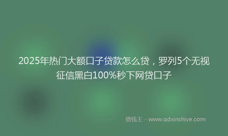 2025年热门大额口子贷款怎么贷，罗列5个无视征信黑白100%秒下网贷口子