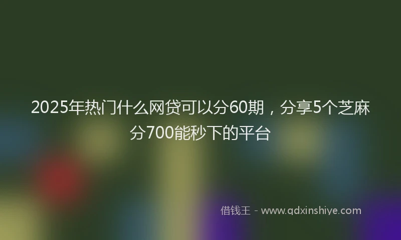 2025年热门什么网贷可以分60期，分享5个芝麻分700能秒下的平台