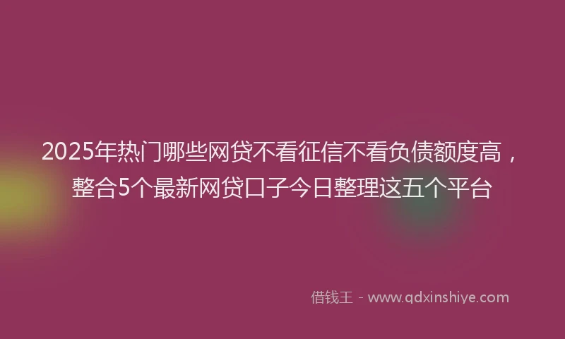 2025年热门哪些网贷不看征信不看负债额度高，整合5个最新网贷口子今日整理这五个平台