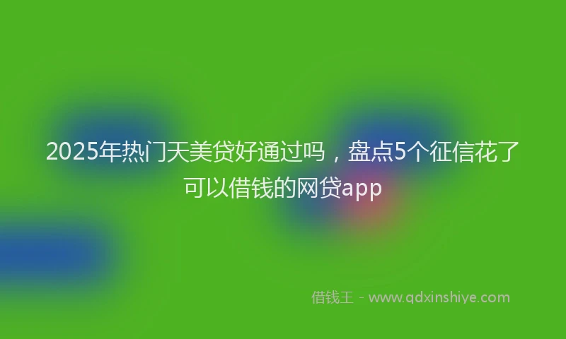 2025年热门天美贷好通过吗，盘点5个征信花了可以借钱的网贷app
