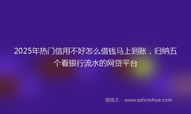 2025年热门信用不好怎么借钱马上到账，归纳五个看银行流水的网贷平台