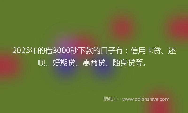 2025年的借3000秒下款的口子有:信用卡贷、还呗、好期贷、惠商贷、随身贷等。