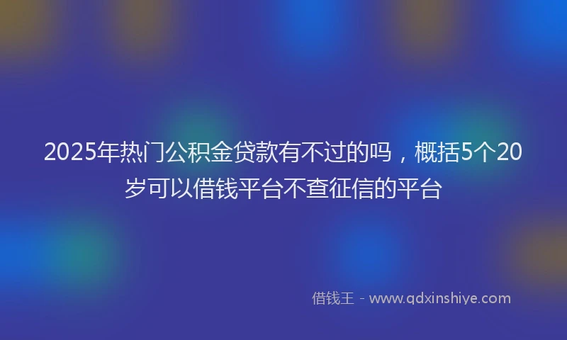 2025年热门公积金贷款有不过的吗，概括5个20岁可以借钱平台不查征信的平台