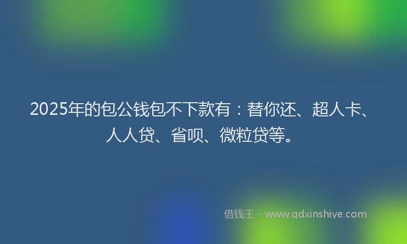 2025年的包公钱包不下款有：替你还、超人卡、人人贷、省呗、微粒贷等。
