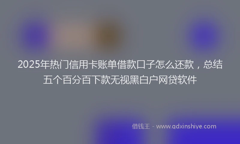 2025年热门信用卡账单借款口子怎么还款，总结五个百分百下款无视黑白户网贷软件