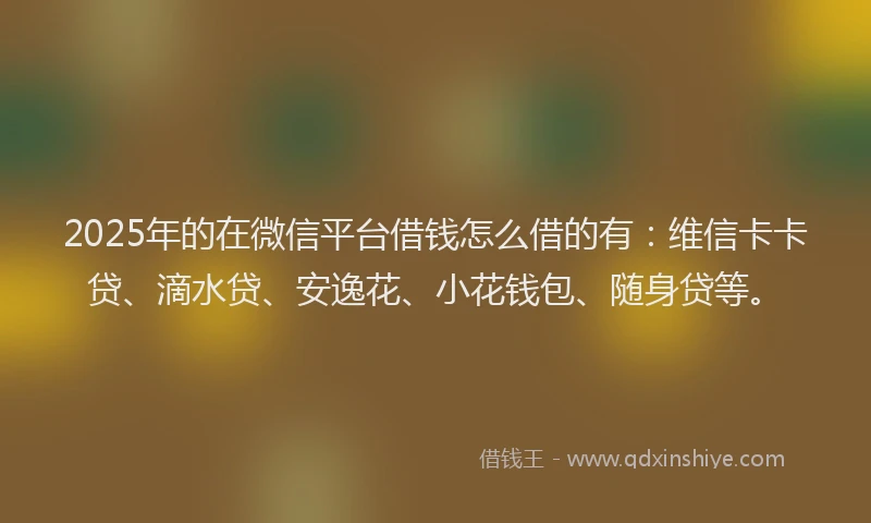 2025年的在微信平台借钱怎么借的有：维信卡卡贷、滴水贷、安逸花、小花钱包、随身贷等。