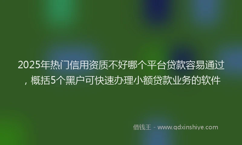 2025年热门信用资质不好哪个平台贷款容易通过，概括5个黑户可快速办理小额贷款业务的软件