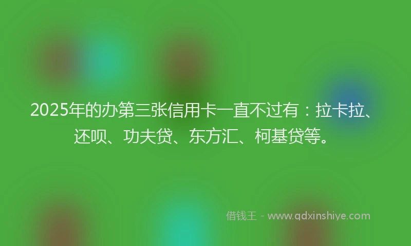 2025年的办第三张信用卡一直不过有：拉卡拉、还呗、功夫贷、东方汇、柯基贷等。
