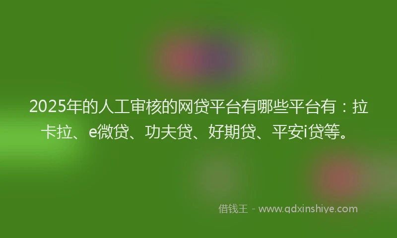 2025年的人工审核的网贷平台有哪些平台有：拉卡拉、e微贷、功夫贷、好期贷、平安i贷等。