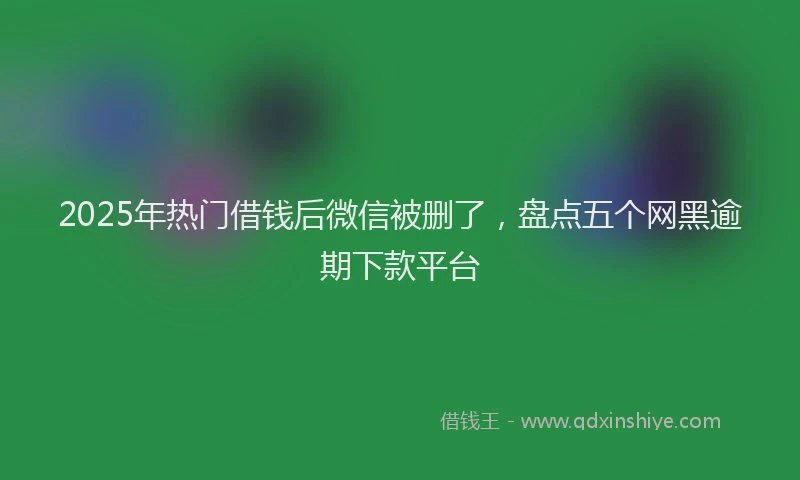 2025年热门借钱后微信被删了,盘点五个网黑逾期下款平台
