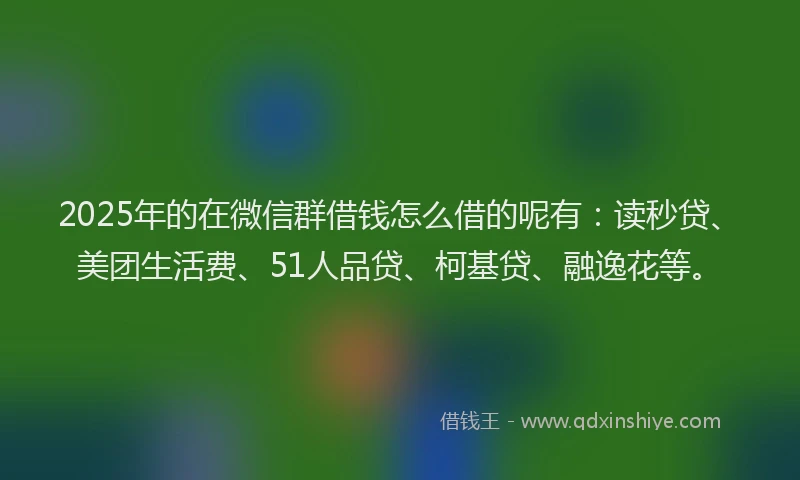 2025年的在微信群借钱怎么借的呢有：读秒贷、美团生活费、51人品贷、柯基贷、融逸花等。