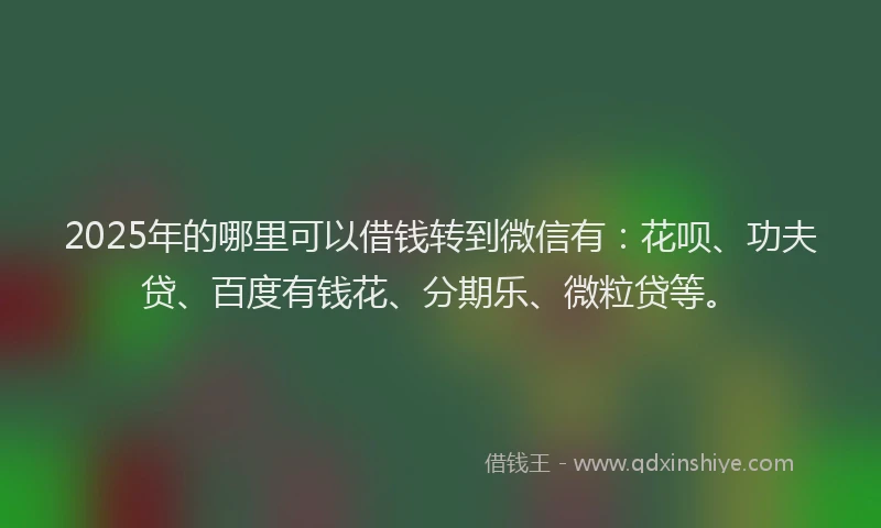 2025年的哪里可以借钱转到微信有：花呗、功夫贷、百度有钱花、分期乐、微粒贷等。
