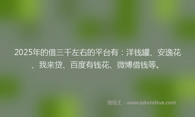 2025年的借三千左右的平台有：洋钱罐、安逸花、我来贷、百度有钱花、微博借钱等。