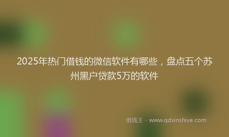 2025年热门借钱的微信软件有哪些，盘点五个苏州黑户贷款5万的软件