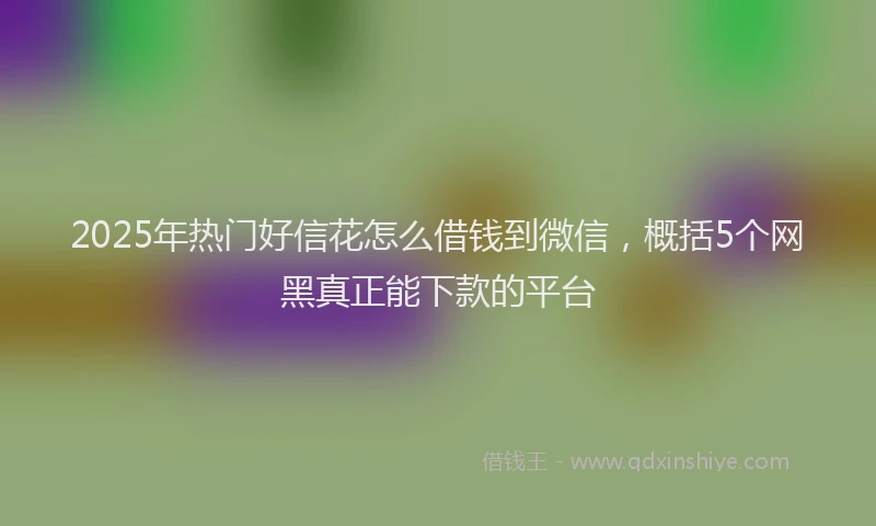 2025年热门好信花怎么借钱到微信，概括5个网黑真正能下款的平台