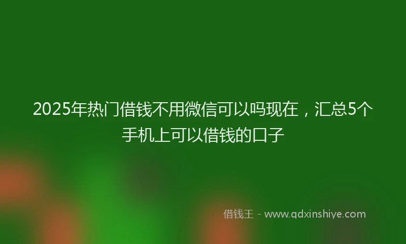 2025年热门借钱不用微信可以吗现在，汇总5个手机上可以借钱的口子