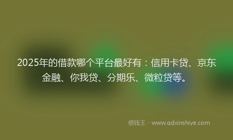 2025年的借款哪个平台最好有：信用卡贷、京东金融、你我贷、分期乐、微粒贷等。