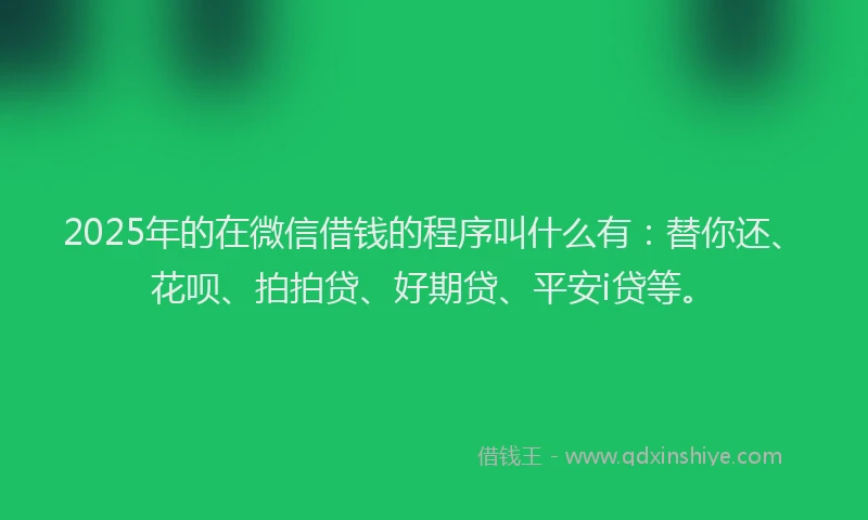 2025年的在微信借钱的程序叫什么有：替你还、花呗、拍拍贷、好期贷、平安i贷等。
