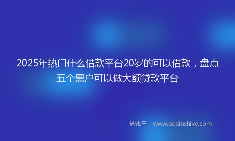 2025年热门什么借款平台20岁的可以借款，盘点五个黑户可以做大额贷款平台