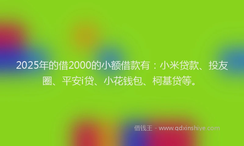 2025年的借2000的小额借款有：小米贷款、投友圈、平安i贷、小花钱包、柯基贷等。
