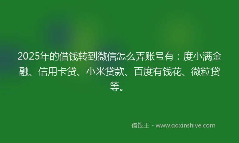 2025年的借钱转到微信怎么弄账号有：度小满金融、信用卡贷、小米贷款、百度有钱花、微粒贷等。