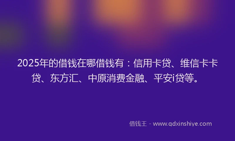 2025年的借钱在哪借钱有：信用卡贷、维信卡卡贷、东方汇、中原消费金融、平安i贷等。