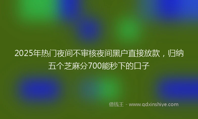 2025年热门夜间不审核夜间黑户直接放款，归纳五个芝麻分700能秒下的口子