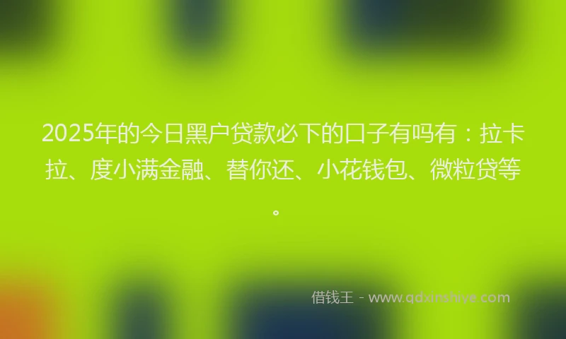 2025年的今日黑户贷款必下的口子有吗有：拉卡拉、度小满金融、替你还、小花钱包、微粒贷等。