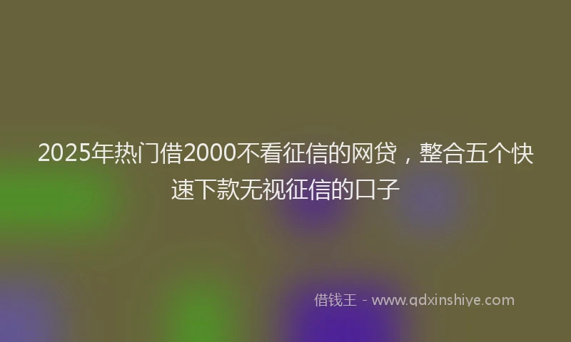 2025年热门借2000不看征信的网贷，整合五个快速下款无视征信的口子