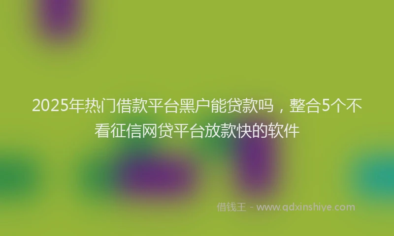 2025年热门借款平台黑户能贷款吗，整合5个不看征信网贷平台放款快的软件