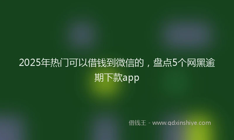 2025年热门可以借钱到微信的，盘点5个网黑逾期下款app