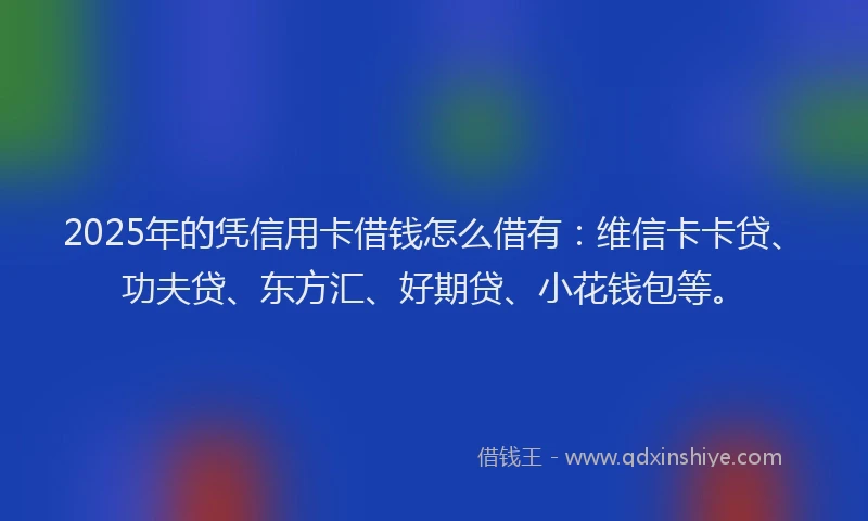 2025年的凭信用卡借钱怎么借有：维信卡卡贷、功夫贷、东方汇、好期贷、小花钱包等。