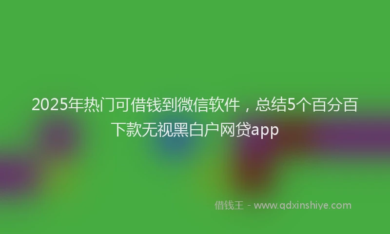 2025年热门可借钱到微信软件，总结5个百分百下款无视黑白户网贷app